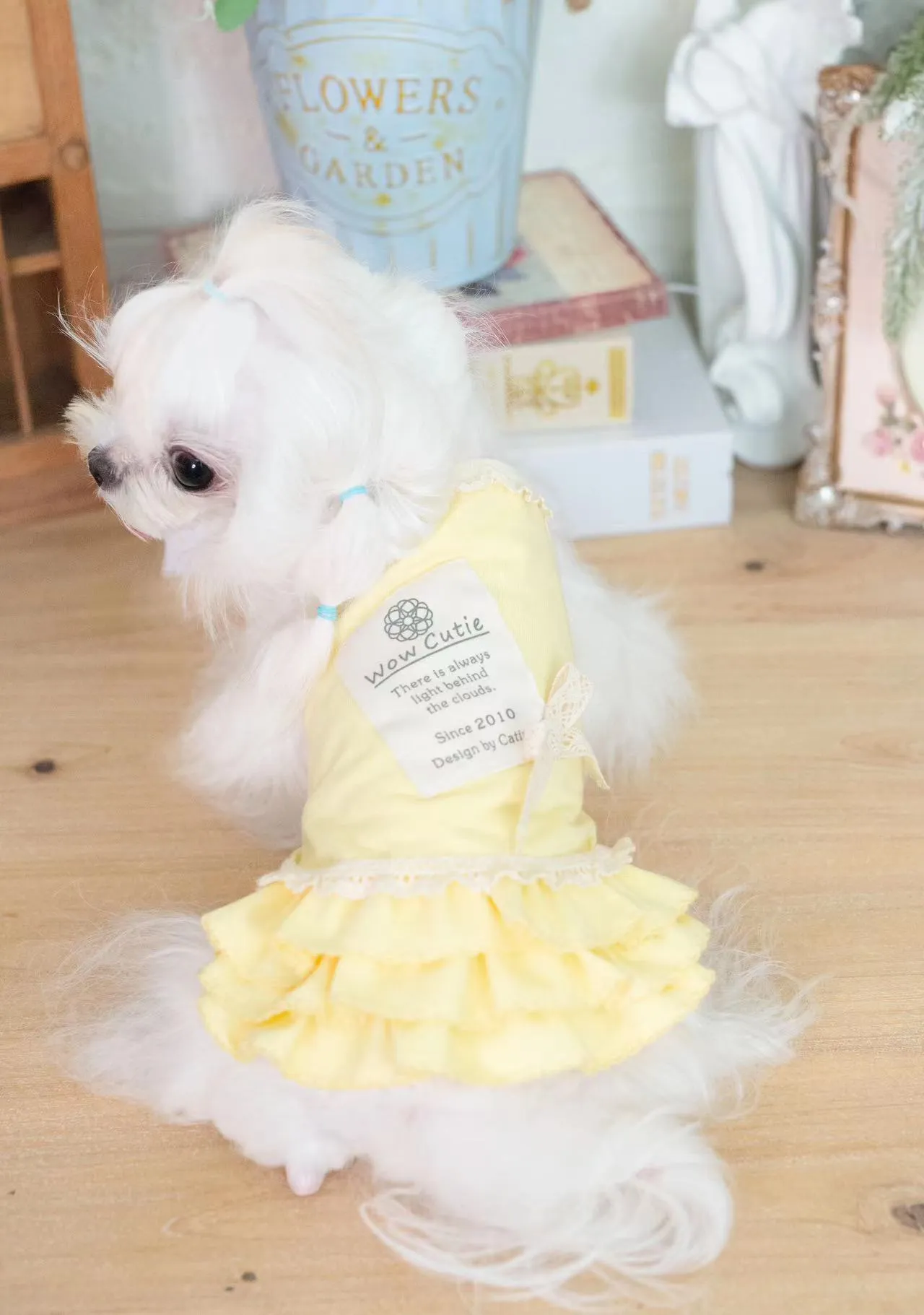 TaniWina Candy Frill Layered Dress