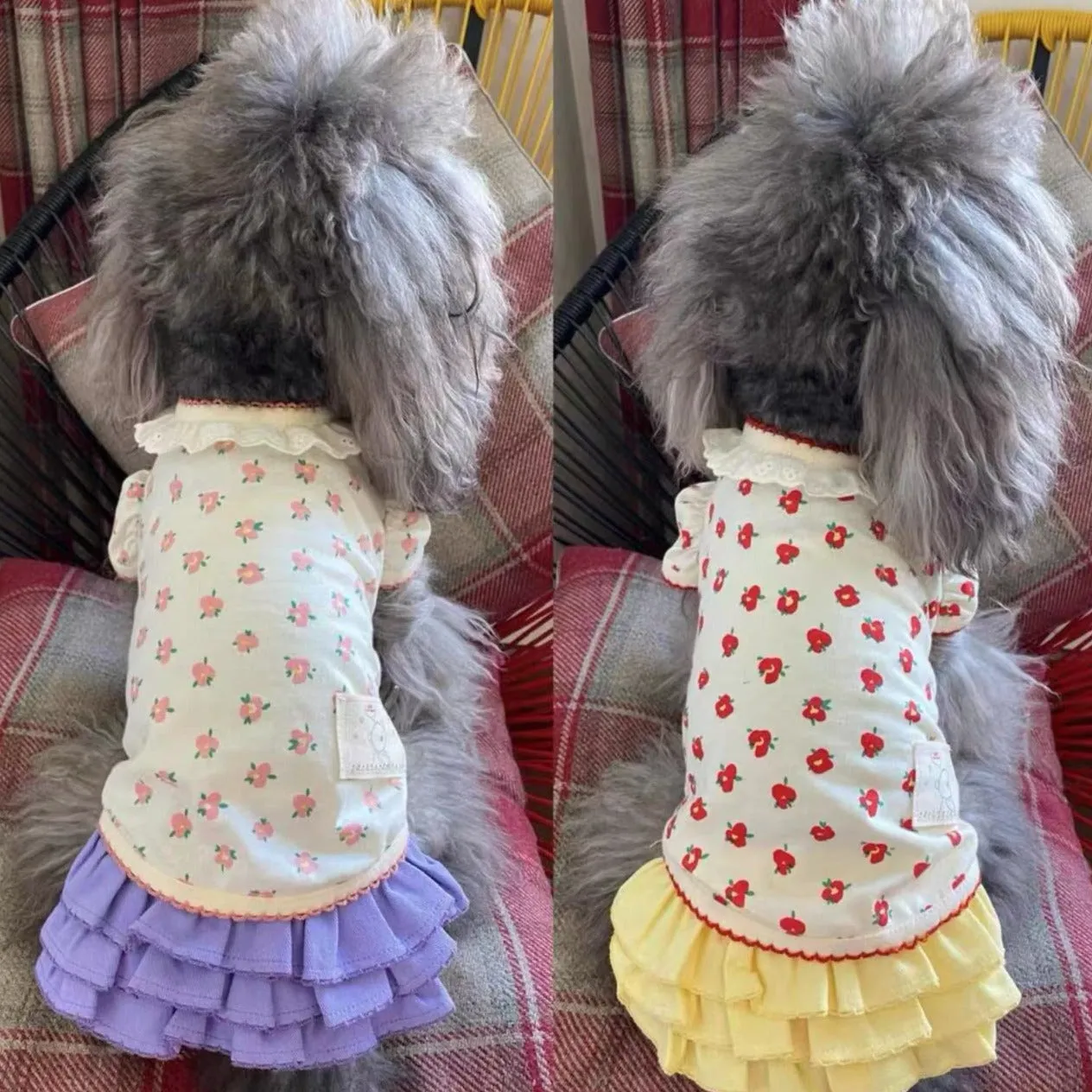 TaniWina Candy Frill Layered Dress